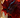 DreadVeth