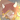 TTFox