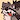 Coontail