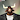 marcthebull1998