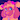 pamperedpoodle