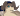 Veraldrisz