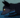 Shadowfox00