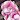 MinkOfTheEnd
