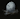egg1863