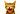 Nitekatt