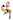 CholeVixen