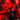 SatanWorshipsNil