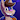 TheArmadilloGuruBrady