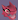 ToruTheDruddigon