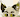 TerrierdeFox