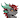 Asherderg