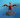 graydragon69