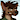 StenMiner