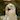 OwlJoel