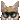 casualfennec