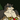 DoomRater