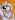 Hooter