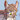 StupidSquirrel
