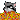 Waccoon