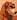 AngryBear