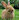 hunbun21