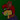 Mappy