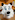 SwiftyFox