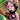 Lambent64