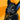 CypherPup
