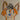 Cartoonhub1997