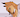 FelixderFox