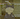FatassCat