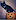 PumpkinPuma