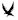 Darkwoodcrow