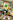 DanielYoshi4820