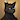 Blackypaws0