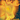 EmberEpsilon
