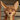 Spiffydragon