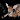funkcat