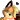 Furiousfox96