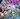 PrinceThePlantBrat