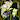 skunkbitez