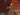 Qwertyflirty2