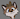 cuteconfy