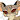felinepus
