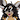 FreakyPlompy