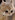 Swordmaster541