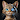 KittyAI