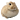 pichuswife